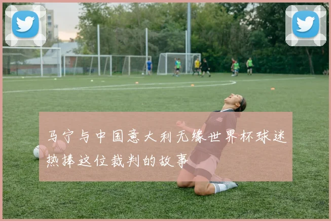 马宁与中国意大利无缘世界杯球迷热捧这位裁判的故事